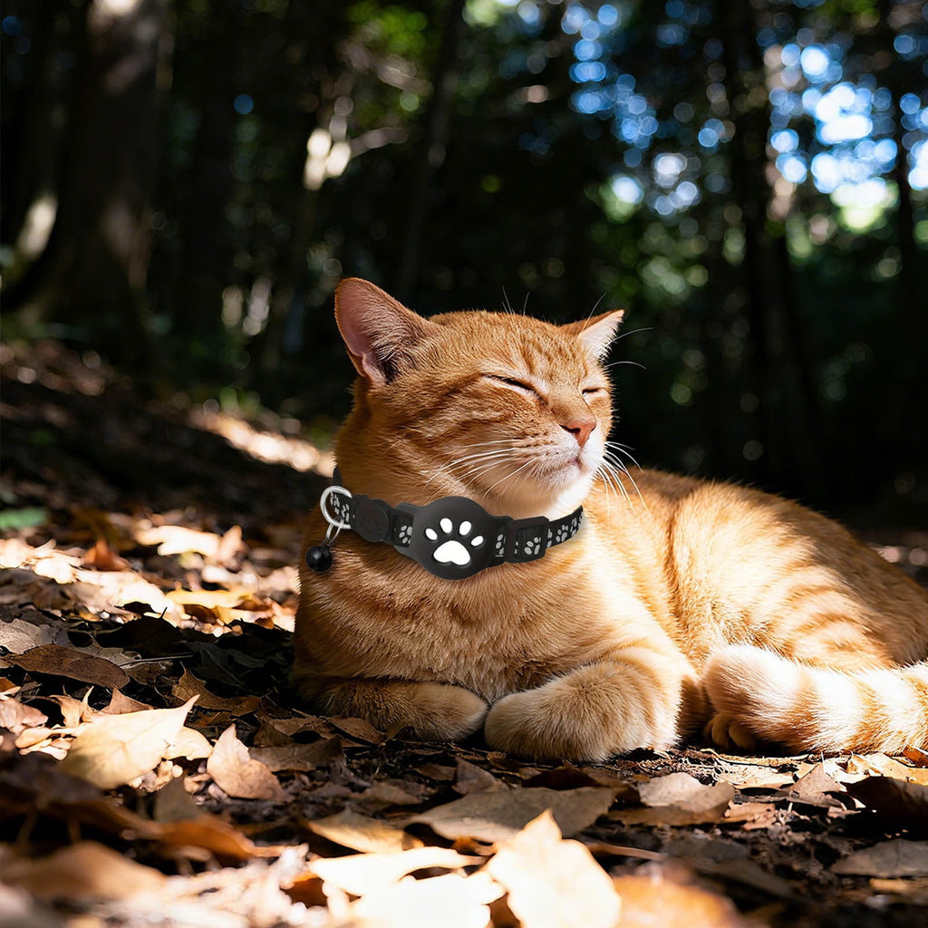 Cat Collar for Small Cats,Real Time Cat GPS No Monthly Fee,no Sim Required, Pet Anti Lost Recorder GPS Collars Works with Only, Waterproof, Reflective Strip to Choice