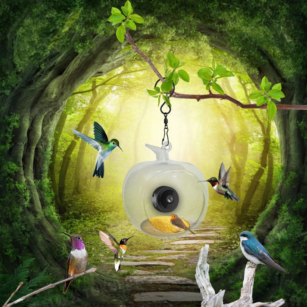 Bird Feeder with Camera, 2025 New Bird Feeder with Camera HD 1080P Night Version Video Camera, WiFi Hotspot Remote Connection with Mobile Phone for Outdoor Bird Watching Capture Photos - A