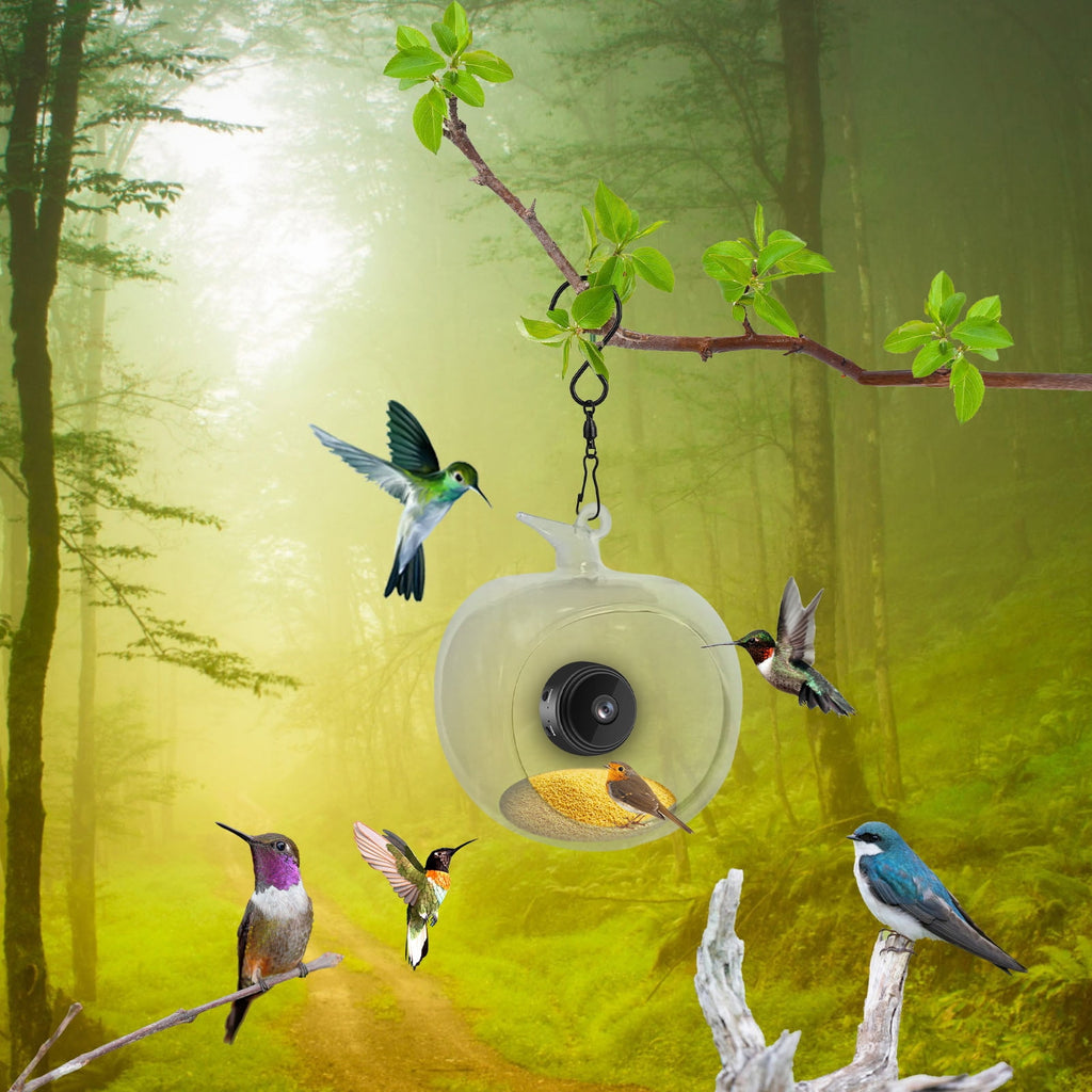 Bird Feeder with Camera, 2025 New Bird Feeder with Camera HD 1080P Night Version Video Camera, WiFi Hotspot Remote Connection with Mobile Phone for Outdoor Bird Watching Capture Photos - A