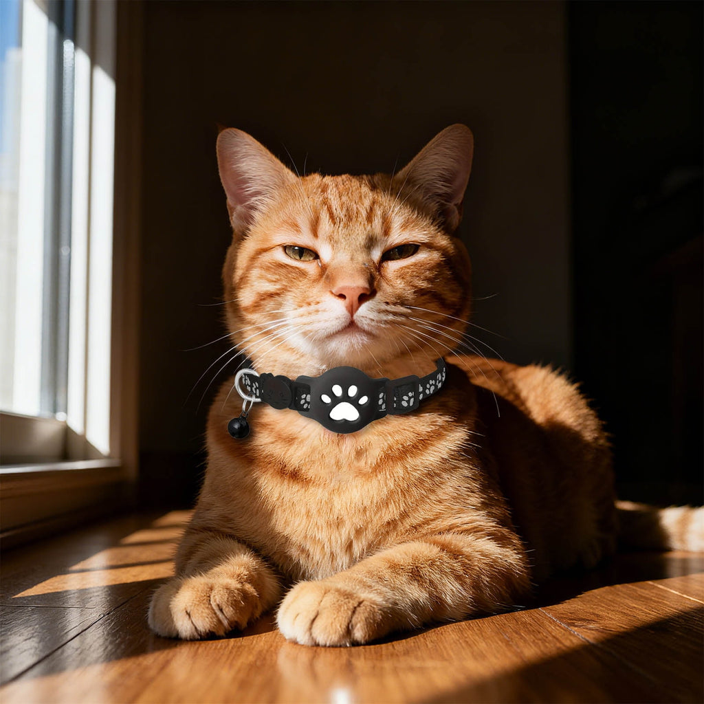 Cat Collar for Small Cats,Real Time Cat GPS No Monthly Fee,no Sim Required, Pet Anti Lost Recorder GPS Collars Works with Only, Waterproof, Reflective Strip to Choice
