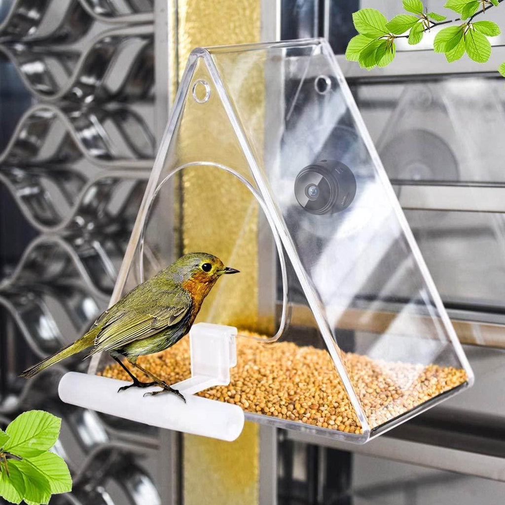 Bird Feeder With Camera, Smart Bird Feeder with HD 1080P Night Version Camera, WiFi Hotspot For Remote Connection To Mobile Phone For Outdoor Bird Watching, Pictures