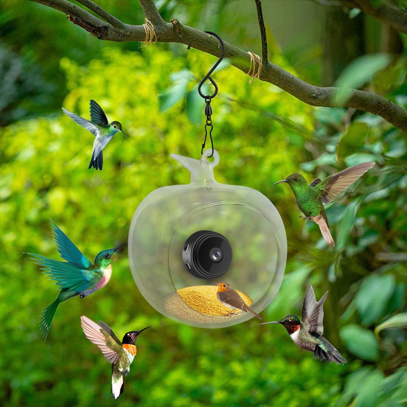 Bird Feeder with Camera, 2025 New Bird Feeder with Camera HD 1080P Night Version Video Camera, WiFi Hotspot Remote Connection with Mobile Phone for Outdoor Bird Watching Capture Photos - A